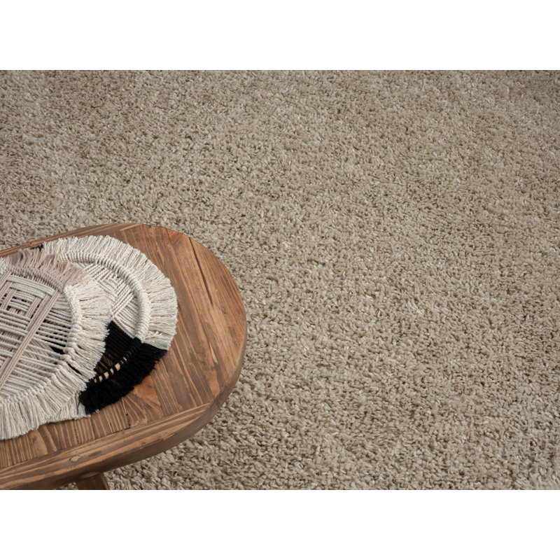 Shaggy Lush Beige Rug, Rectangle 120 x 180cm