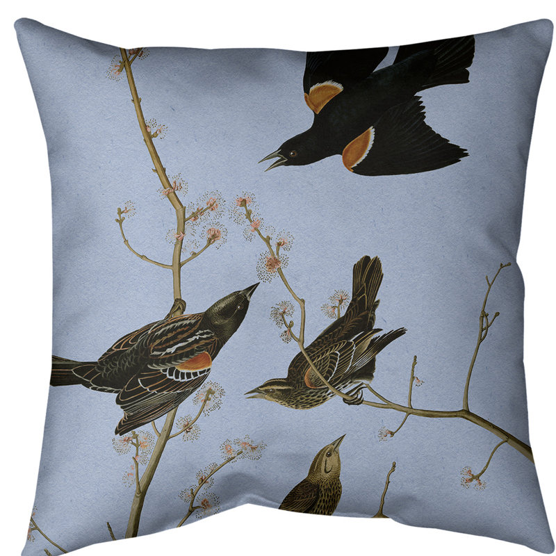 Housse et insert de coussin carré John James Audubon, 26 po x 26 po, Île Seymour Nord, Galapagos