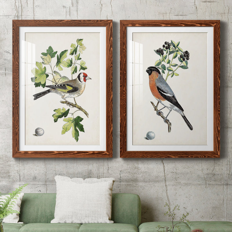 Oiseau antique, botanique et œuf III - ensemble de 2 reproductions d'art sur papier encadré, H 31,5 po x l 47 po x P 1,5 po