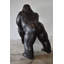 Statue géante en forme de gorille géant regardant autour de bronze, taille: 58 po x 38 po x H 60 po