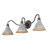 Rema 3-Light Vanity Light in Antique Black Iron with Galvanized Steel