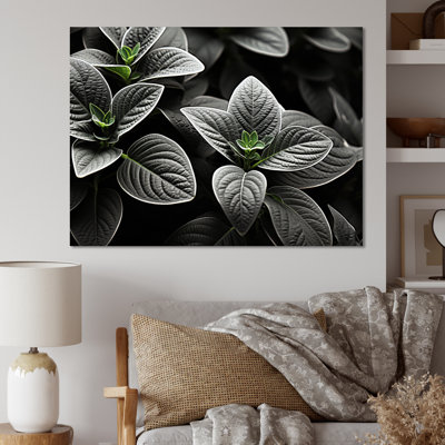 " Grey Plants Botanical Serenity "