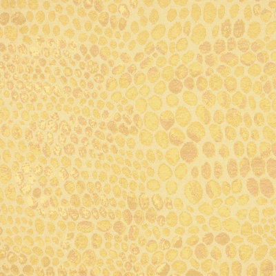Allure Fabric