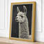 Alpaca Portrait Japandi - Wrapped Canvas-41848102-41848103