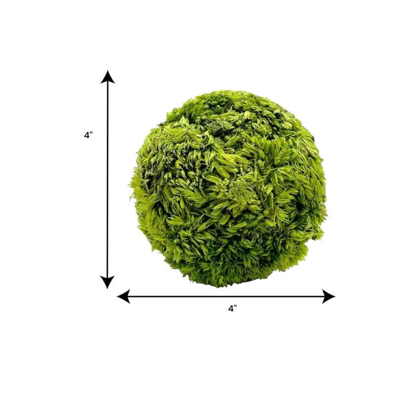 Jayceon 4" Real Preserved Cockscomb Topiary Decorative Orbs – Set of 3