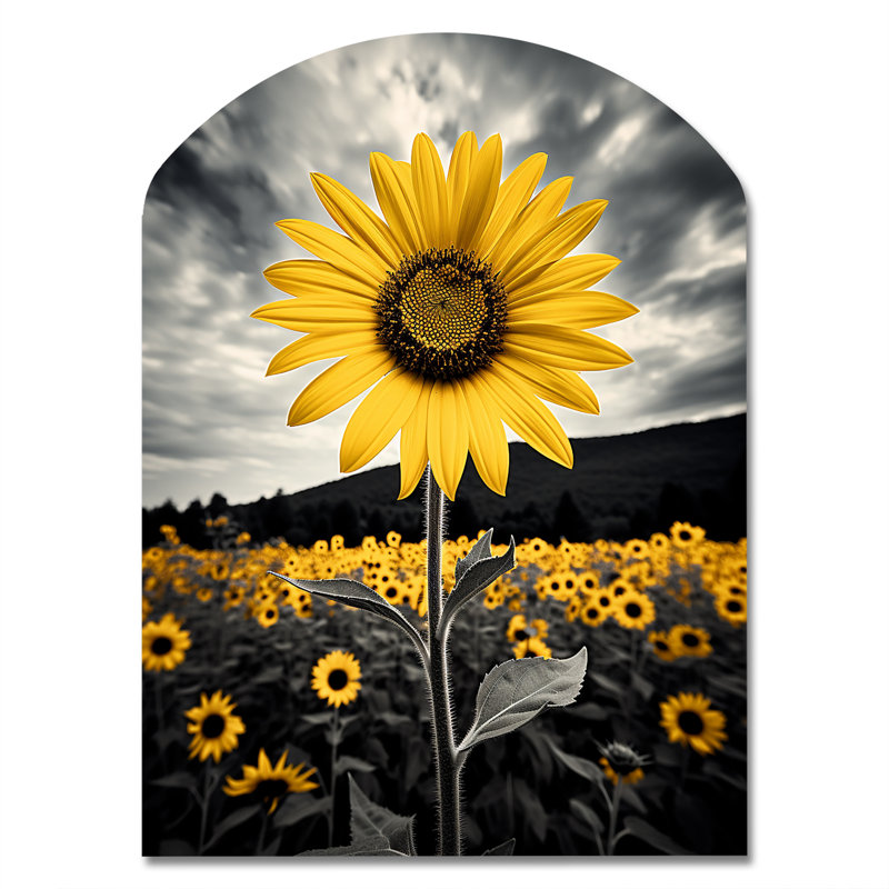 Newberry - Décoration murale irrégulière en forme d'arche tournesols en métal, H 34 po x l 25 po