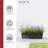 Pot Planter-78921110-125118666