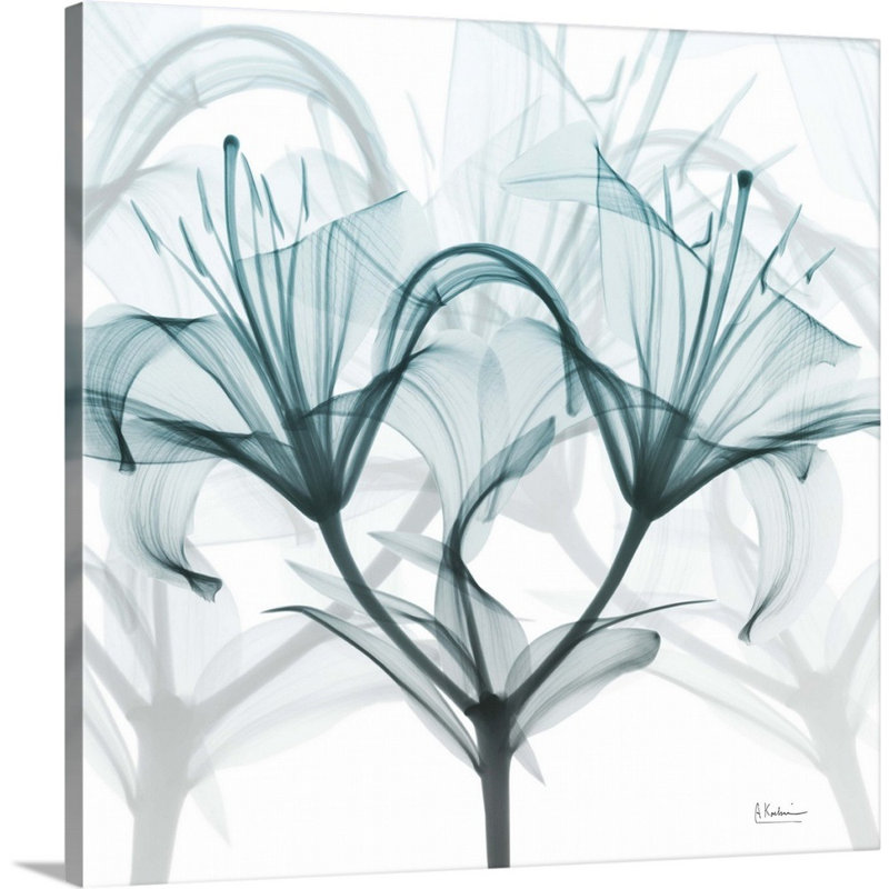 « Crystal Flame Lily » par Albert Koetsier, reproduction d’art sur toile, Toile tendue, H 12 po x l 12 po x P 1,25 po