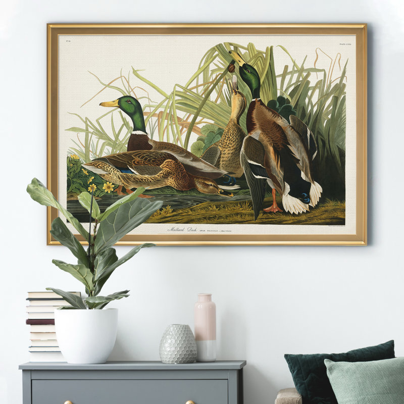 Mallard Duck - reproduction d'art sur toile, H 18,5 po x l 24,5 po x P 1,5 po, Doré