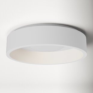 Minimalist LED White Flush Mount Ceiling Light Metal Acrylic and