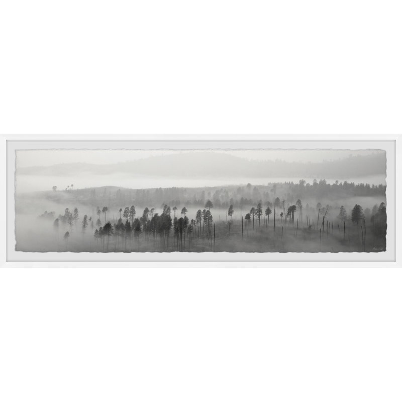 Lost in the Woods 1 Piece Single Picture Frame Panoramic Wall Art, 25cm H x 76cm W x 3.81cm D