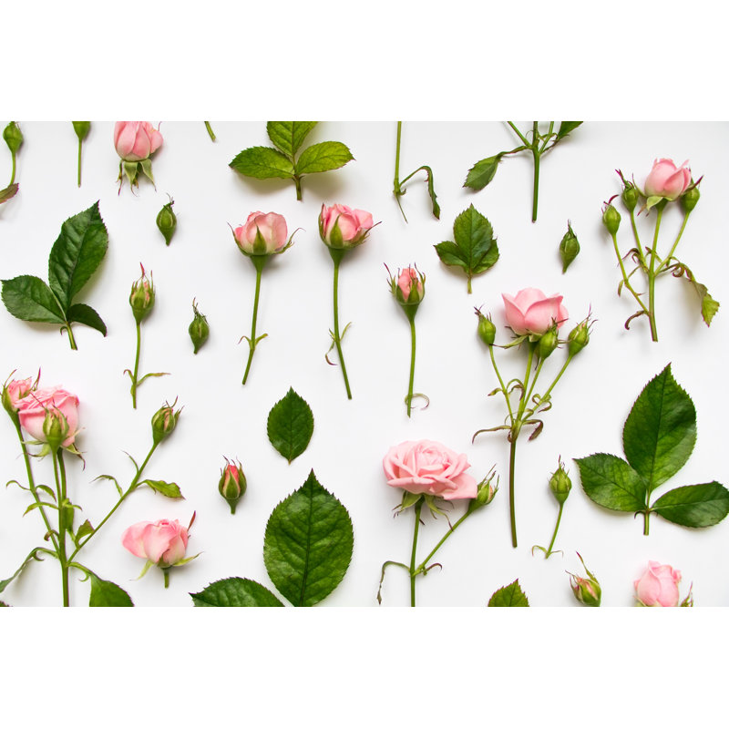 Pattern With Pink Roses by Amirage - Wrapped Canvas Print, 30cm H x 46cm W