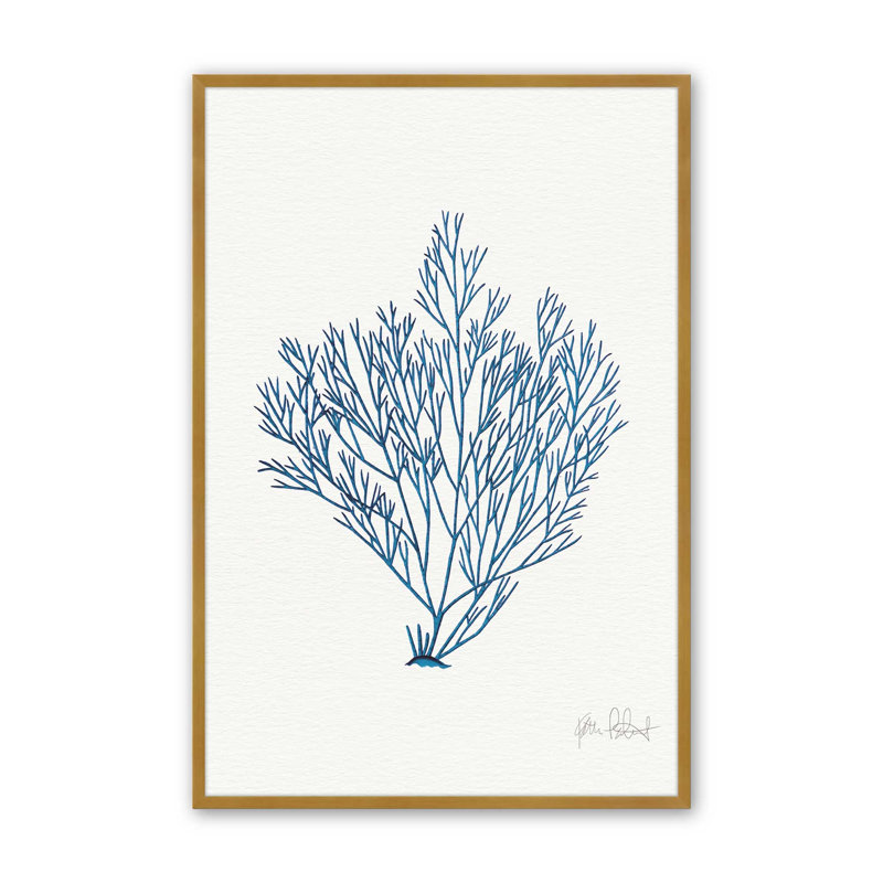 «Nature's Blueprint», Cadre doré poli, H 15,25 po x l 15,25 po