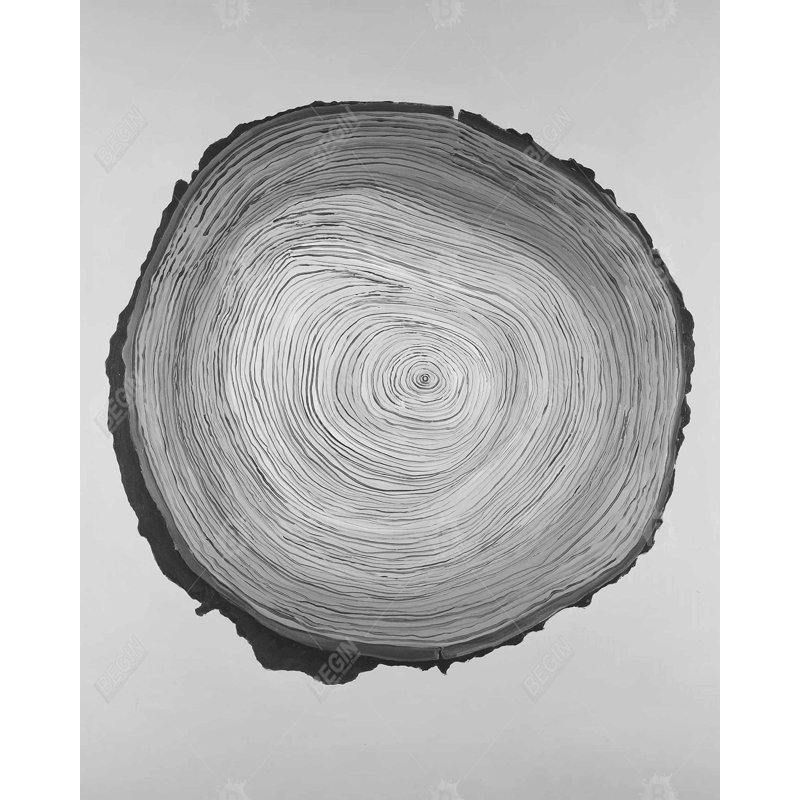 Bûche de bois ronde en niveaux de gris - décor de toile encadrée rustique noir