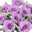 Artificial Lisianthus Bush-701203110