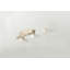 9"  Cat Perch-304715208-304715211