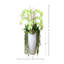 Orchid Arrangement with Cactus in Fiberstone Planter-292671248