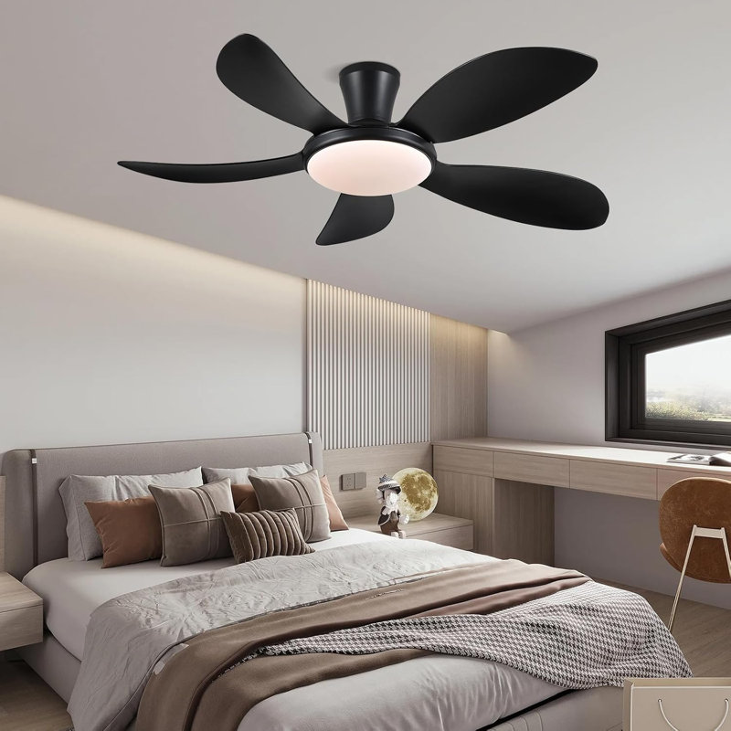 Ventilateur, Noir
