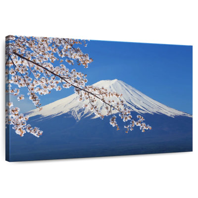 Fuji et Sakura enneigé