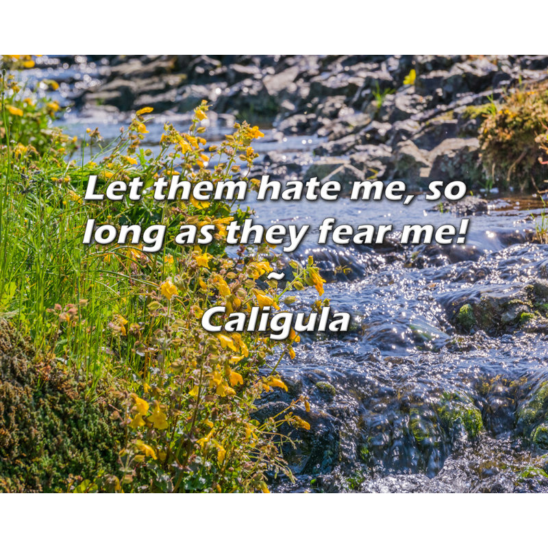 Citation de Caligula: Qu'ils me détestent, tant qu'ils ont peur de moi!, H 15 po x l 18 po