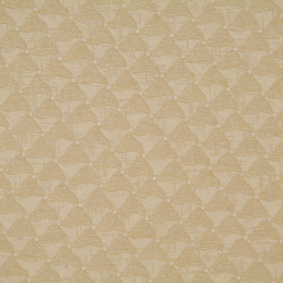 Allure Fabric