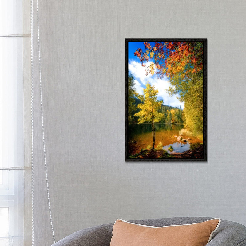 Fall Framing by Philippe Sainte-Laudy - Print on Canvas, Black Framed, 66.04 cm H x 45.72 cm W