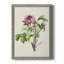 «Pretty Pink Botanicals V», reproduction sur toile encadrée-424888228-424888226