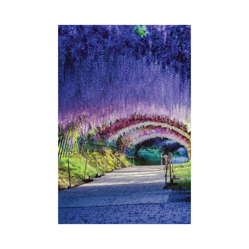 Spring In Japan XXI by Daisuke Uematsu - Print on Canvas, Wrapped Canvas, 45.72cm H x 30.48cm W x 1.91cm D