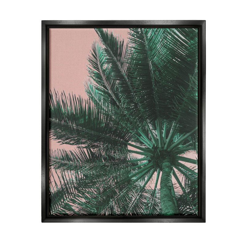 «Summer Overhead Palm Tree», art de la giclée encadrée par Lil 'Rue, Cadre flottant noir de jais