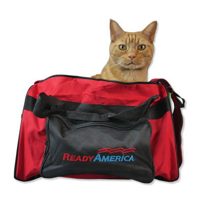 Cat Carrier Kit