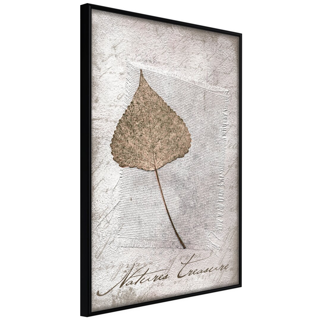 Gerahmter Fotodruck Dried Leaf