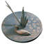 Loon Sundial-2136947672