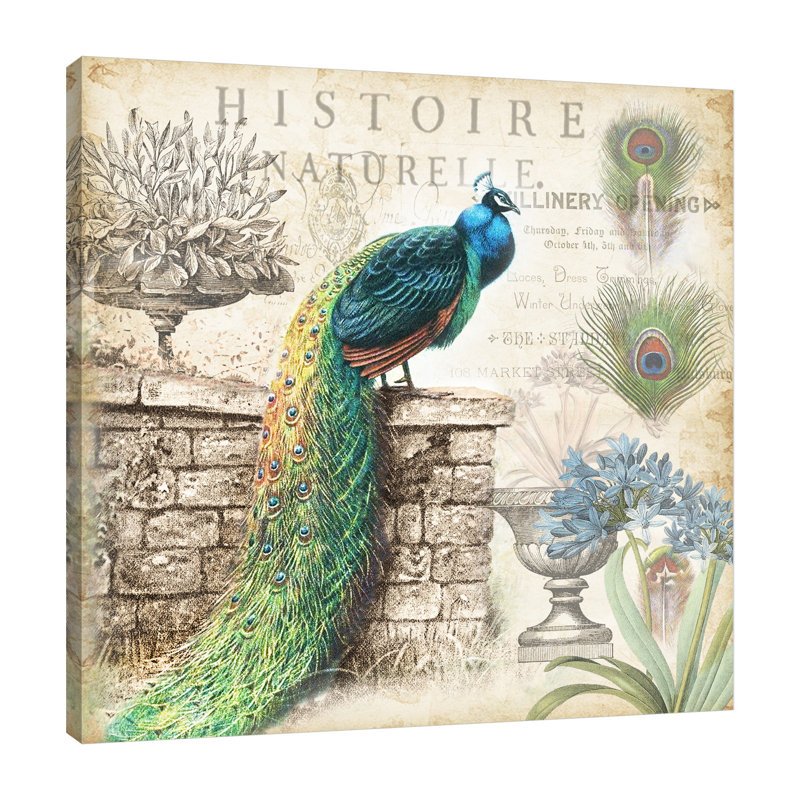 «Vintage Peacock II» par Tre Sorelle Studios, reproduction d'art graphique sur toile, H 12 po x l 12 po
