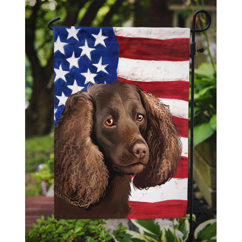 Polyester à 2 côtés 15 x 11 po drapeau de jardin, Épagneul d'eau américain