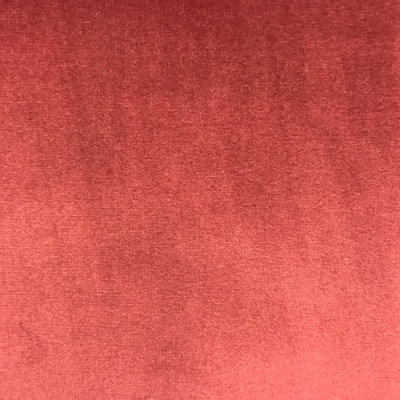 Solid Velvet | Velluto Fabric