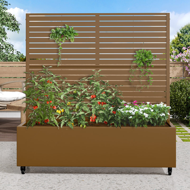 Boîte à fleurs d'extérieur individuelle en métal rectangulaire avec treillis pour plantes grimpantes, Brun