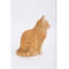 Chat tigré orange assis-1202188021