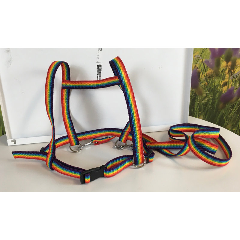 Freeport Park Lavern Plastic Outdoor Kids Game