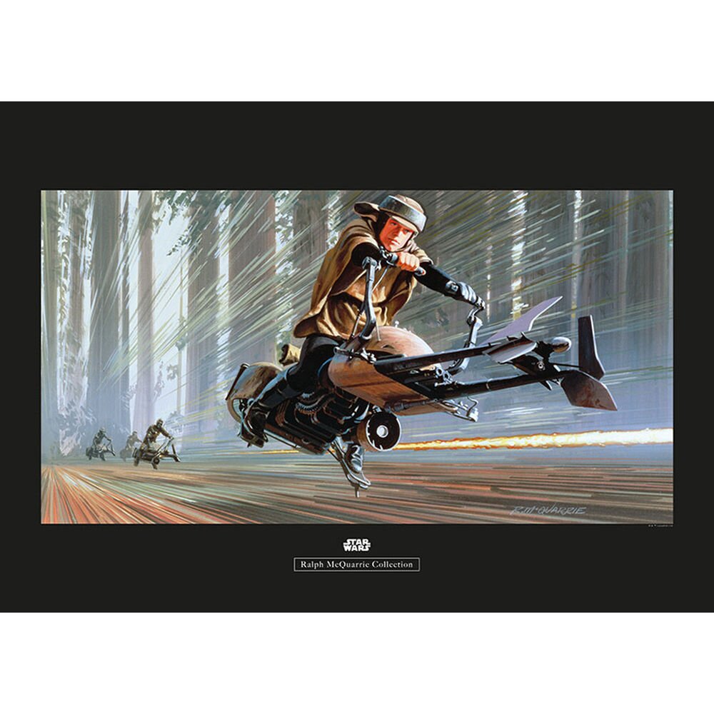 Poster Star Wars Rmq Endor Speeder