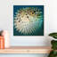 Poisson-globe Brampt-109368102