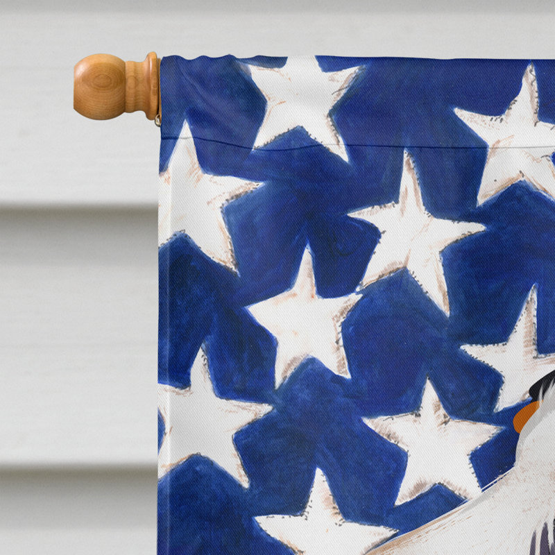 Polyester à 2 côtés 28 x 40 po drapeau maison, Ariegeois