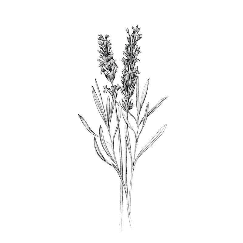 Champ de fleurs II, H 36 po x l 24 po