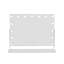 Olav Iron Rectangle Floor Mirror