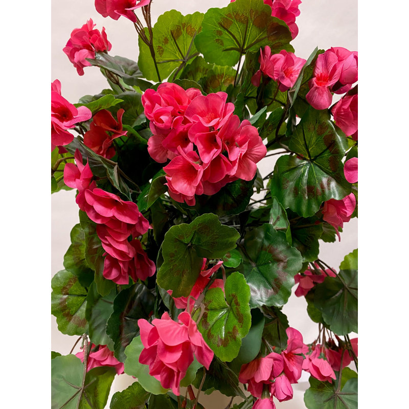 Arrangements floraux de géranium