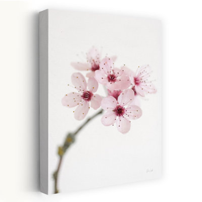Fleur de cerisier contemporaine