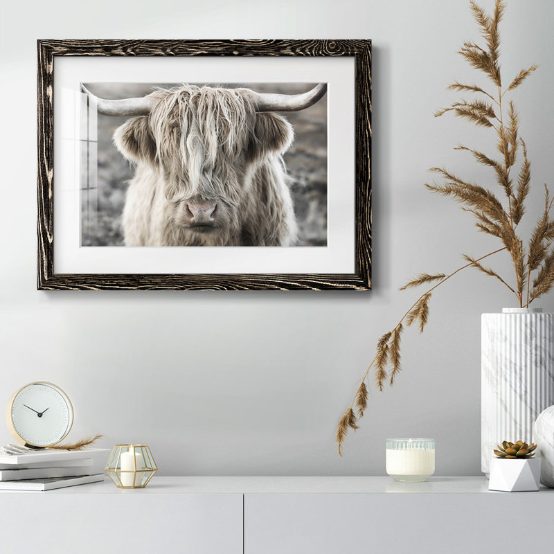 Highland Skye, reproduction d'art encadrée, H 14 po x l 20 po x P 1,5 po, Noir