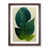 Walnut Framed is unavailable