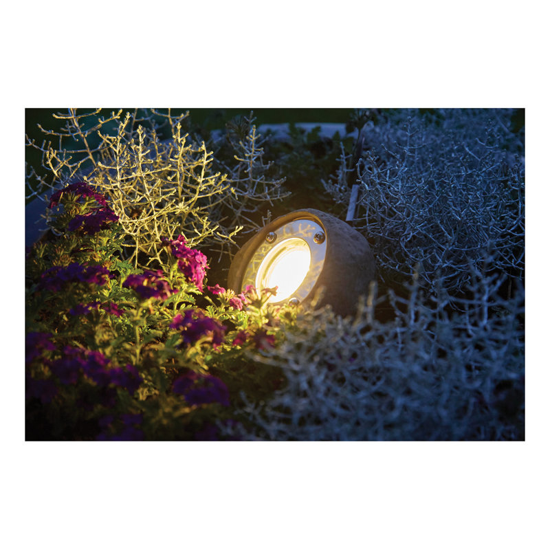 Natural Low Voltage Plug-in Pathway Light