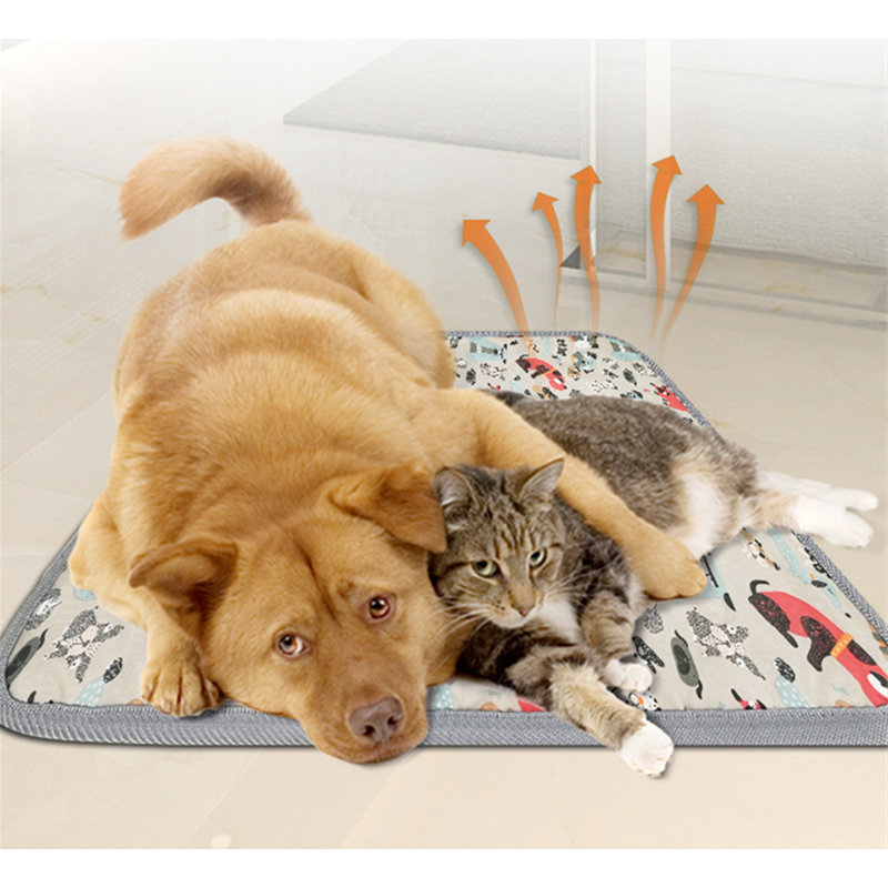 Coussin chauffant électrique pour chats Bratchell