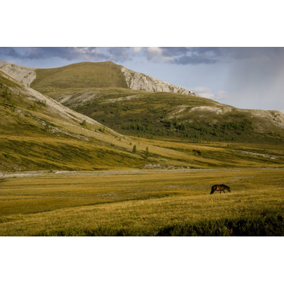 Mongolian Valley - Wrapped Canvas Print